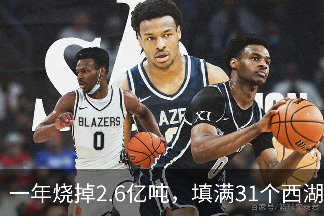 一年烧掉2.6亿吨，填满31个西湖！中国的垃圾，不够烧了？